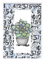 
              #44 Monosucculents - AALL & CREATE Ephemera
            