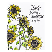 
              Sunflower Field Press Plate
            