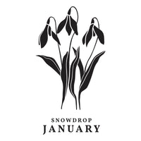 
              January Snowdrop Press Plates
            