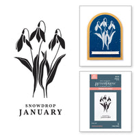 
              January Snowdrop Press Plates
            