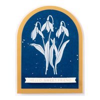 
              January Snowdrop Press Plates
            