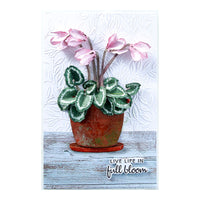 
              Cyclamen
            