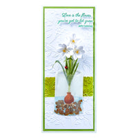 
              Paperwhites and Glass Vase
            